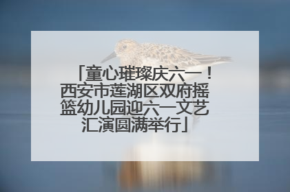 童心璀璨庆六一！西安市莲湖区双府摇篮幼儿园迎六一文艺汇演圆满举行