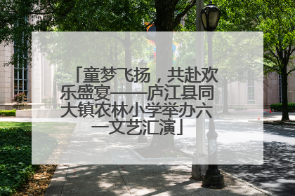 童梦飞扬，共赴欢乐盛宴——庐江县同大镇农林小学举办六一文艺汇演