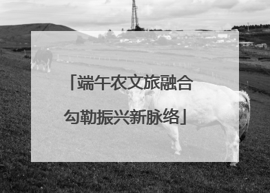 端午农文旅融合 勾勒振兴新脉络