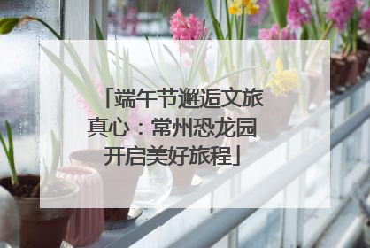 端午节邂逅文旅真心：常州恐龙园开启美好旅程