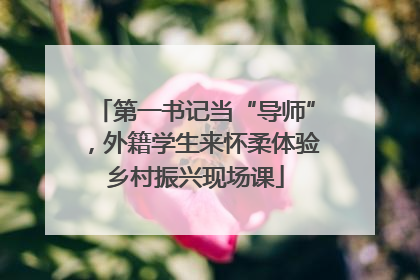 第一书记当“导师”，外籍学生来怀柔体验乡村振兴现场课