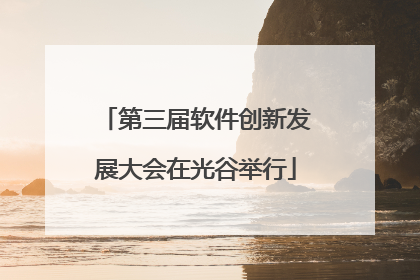 第三届软件创新发展大会在光谷举行