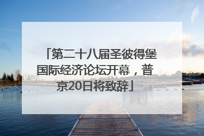 第二十八届圣彼得堡国际经济论坛开幕，普京20日将致辞