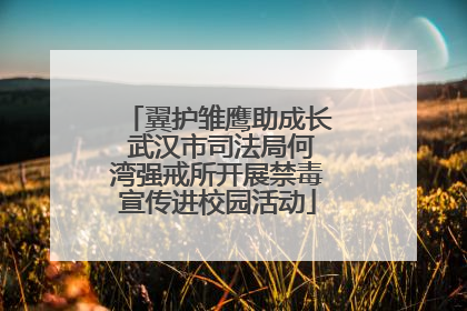 翼护雏鹰助成长 武汉市司法局何湾强戒所开展禁毒宣传进校园活动