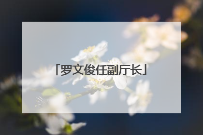 罗文俊任副厅长