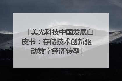 美光科技中国发展白皮书：存储技术创新驱动数字经济转型