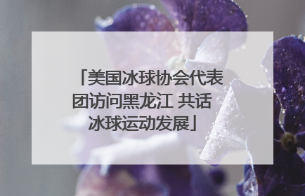 美国冰球协会代表团访问黑龙江 共话冰球运动发展