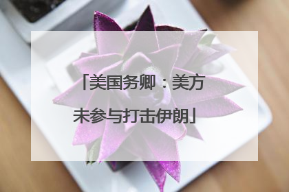 美国务卿：美方未参与打击伊朗