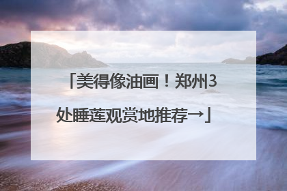 美得像油画！郑州3处睡莲观赏地推荐→