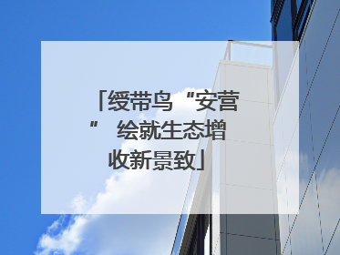 绶带鸟“安营” 绘就生态增收新景致