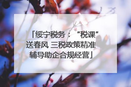 绥宁税务：“税课”送春风 三税政策精准辅导助企合规经营