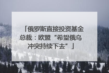 俄罗斯直接投资基金总裁：欧盟“希望俄乌冲突持续下去”