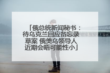 俄总统新闻秘书：待乌克兰回应备忘录草案 俄美乌领导人近期会晤可能性小