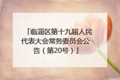临淄区第十九届人民代表大会常务委员会公告（第20号）