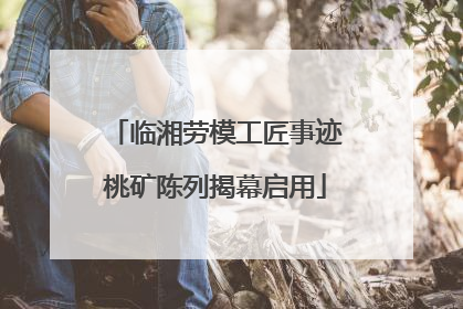 临湘劳模工匠事迹桃矿陈列揭幕启用