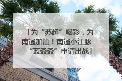 为“苏超”喝彩，为南通加油！南通小江豚“蓝叒叒”申请出战