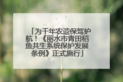 为千年农遗保驾护航！《丽水市青田稻鱼共生系统保护发展条例》正式施行