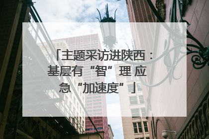 主题采访进陕西：基层有“智”理 应急“加速度”