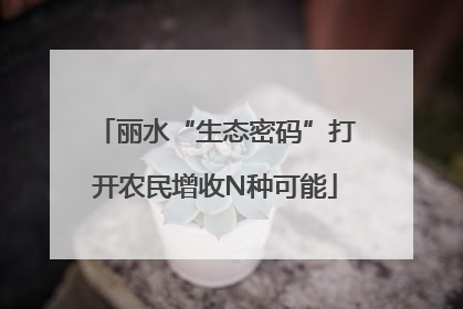 丽水“生态密码”打开农民增收N种可能