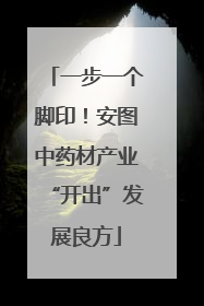 一步一个脚印！安图中药材产业“开出”发展良方