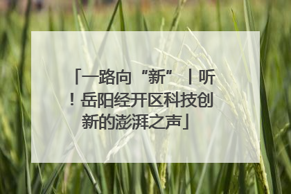 一路向“新”丨听！岳阳经开区科技创新的澎湃之声