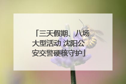 三天假期、八场大型活动 沈阳公安交警硬核守护