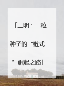 三明：一粒种子的“链式”崛起之路
