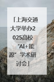 上海交通大学举办2025高校“AI+能源”学术研讨会