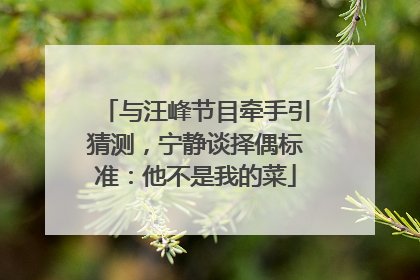 与汪峰节目牵手引猜测，宁静谈择偶标准：他不是我的菜