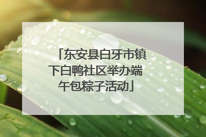 东安县白牙市镇下白鸭社区举办端午包粽子活动