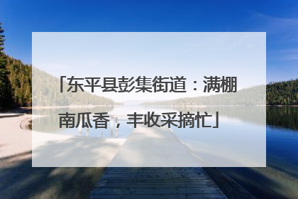 东平县彭集街道：满棚南瓜香，丰收采摘忙
