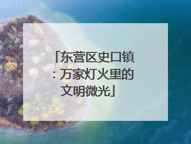 东营区史口镇：万家灯火里的文明微光