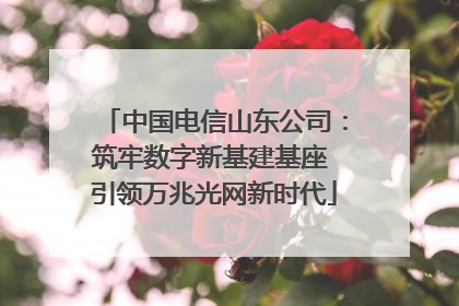 中国电信山东公司：筑牢数字新基建基座 引领万兆光网新时代