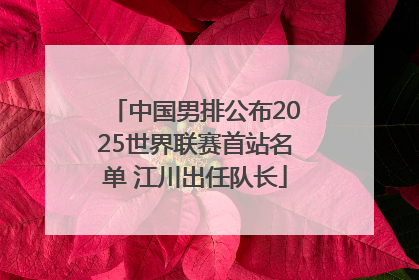 中国男排公布2025世界联赛首站名单 江川出任队长