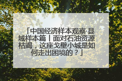 中国经济样本观察·县域样本篇丨面对石油资源枯竭，这座戈壁小城是如何走出困境的？
