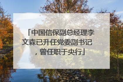 中国信保副总经理李文森已升任党委副书记，曾任职于央行