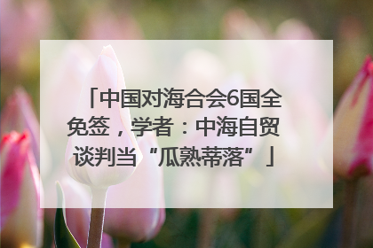 中国对海合会6国全免签，学者：中海自贸谈判当“瓜熟蒂落”