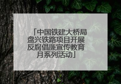 中国铁建大桥局盘兴铁路项目开展反腐倡廉宣传教育月系列活动
