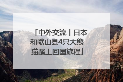 中外交流丨日本和歌山县4只大熊猫踏上回国旅程