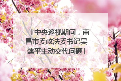 中央巡视期间，南昌市委政法委书记吴建平主动交代问题