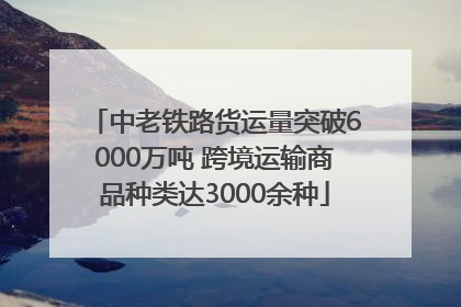 中老铁路货运量突破6000万吨 跨境运输商品种类达3000余种