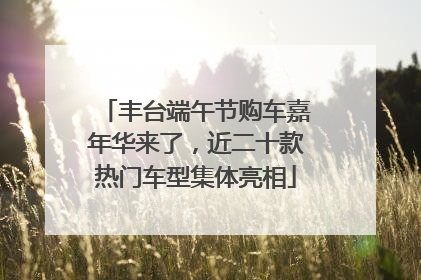 丰台端午节购车嘉年华来了，近二十款热门车型集体亮相
