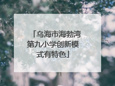 乌海市海勃湾第九小学创新模式有特色