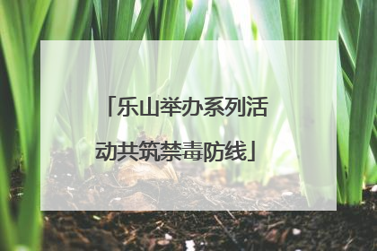 乐山举办系列活动共筑禁毒防线