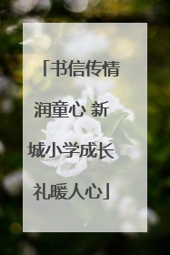 书信传情润童心 新城小学成长礼暖人心
