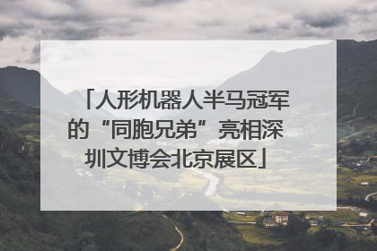 人形机器人半马冠军的“同胞兄弟”亮相深圳文博会北京展区