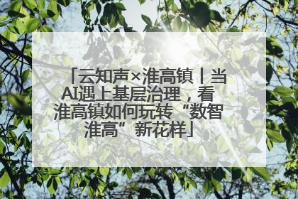 云知声×淮高镇丨当AI遇上基层治理，看淮高镇如何玩转“数智淮高”新花样