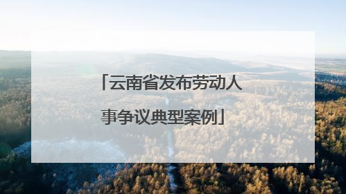 云南省发布劳动人事争议典型案例