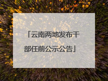 云南两地发布干部任前公示公告