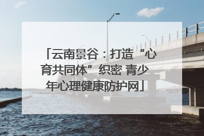 云南景谷：打造“心育共同体”织密 青少年心理健康防护网